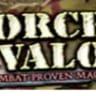 New Pricing for Forces of Valor under new ownership
