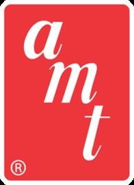 AMT - DiecastModeler