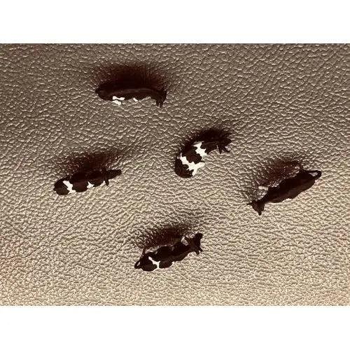 Cows for your HO scale farm (5 Count) - (USED)